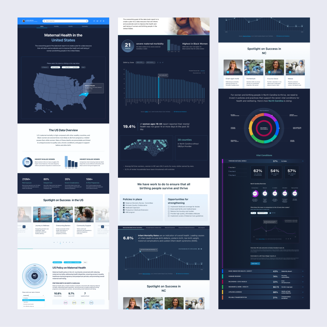 Maternal health data dashboard and web application screens.